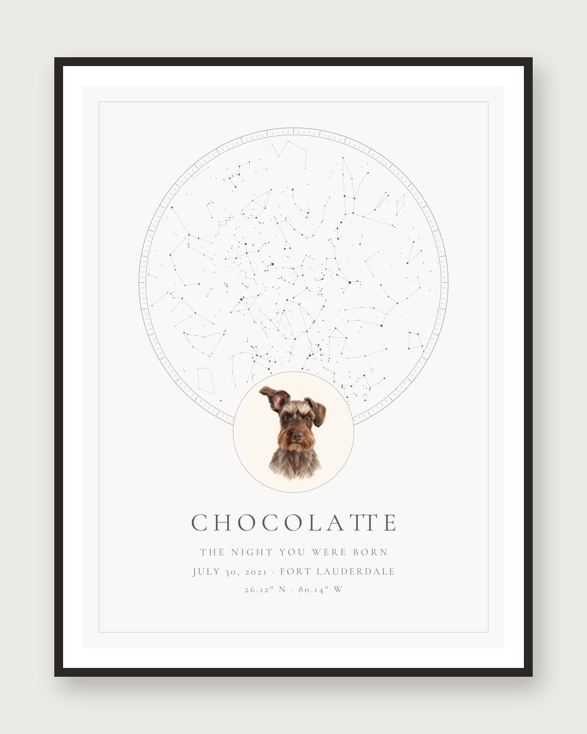 Chocolatte the schnauzer sitting next to his framed Fondful portrait