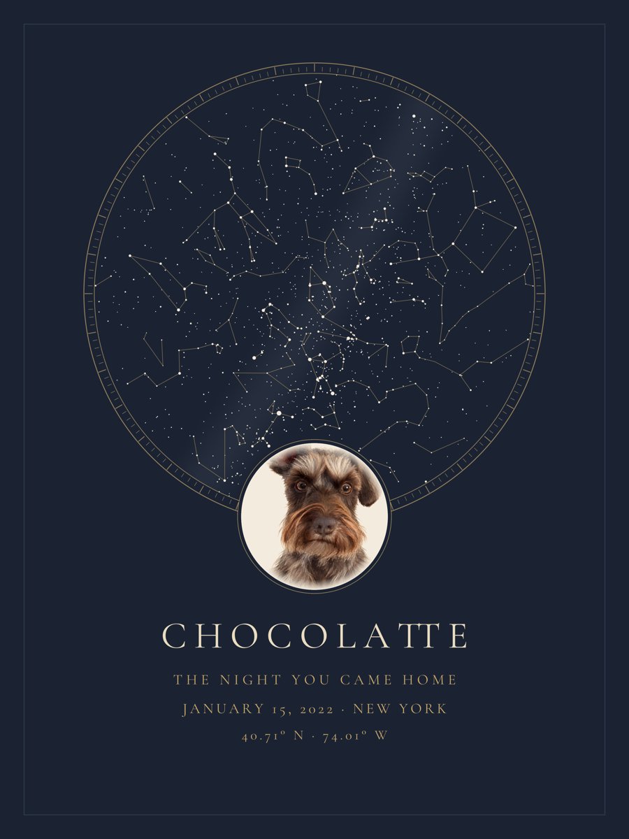 Sample Star Map pet portrait